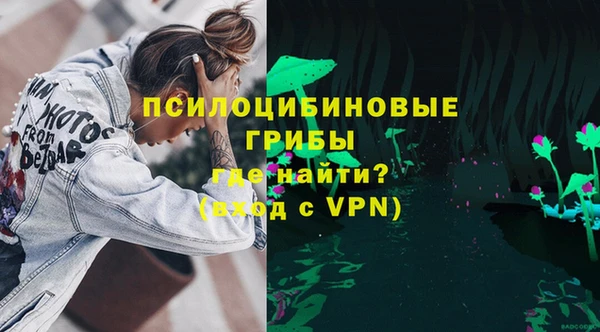хмурый Липки